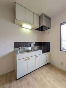 パレコスモス B102号-6