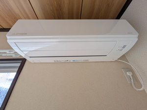 パレコスモス B102号-11