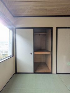 パレコスモス B102号-13