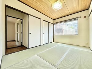 パレコスモス B103号-5