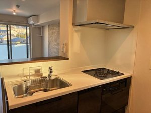 ルヴニールⅢ 0303号-8