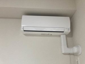 椛コート 0202号-3