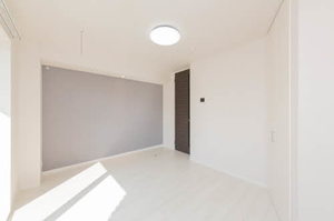 椛コート 0302号-3