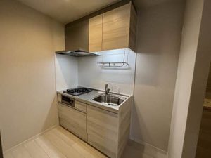 冬青コート 0202号-4