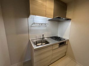 冬青コート 0303号-4