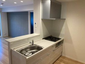 シャーメゾン フォルトゥーナ 0207号-4