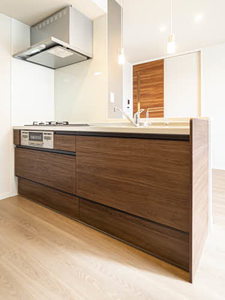 エルヴィラ（Ａ棟） A201号-8