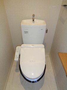 ルミエール　平井 0203号-8