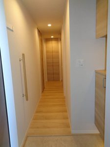 ルミエール　平井 0203号-9