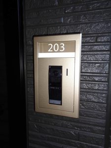 ルミエール　平井 0203号-11