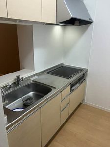 ＭＳ　Ｓｈａｍａｉｓｏｎ 0102号-5