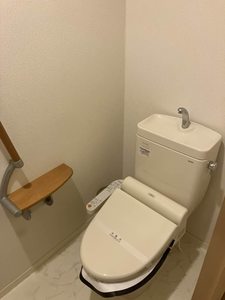 MS Shamaison 0103号-3