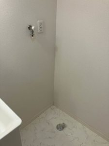 MS Shamaison 0103号-6