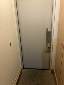 MS Shamaison 0103号-12