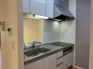 ＭＳ　Ｓｈａｍａｉｓｏｎ 0205号-8