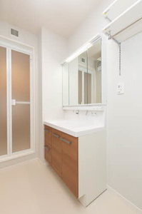 ＳｈａＭａｉｓｏｎ　Ｔ．Ｓ 0201号-5