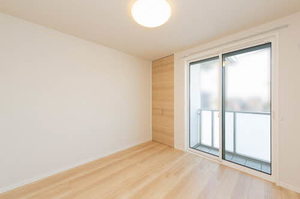 ＳｈａＭａｉｓｏｎ　Ｔ．Ｓ 0201号-10