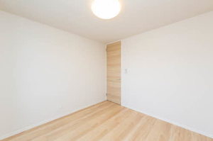 ＳｈａＭａｉｓｏｎ　Ｔ．Ｓ 0201号-11