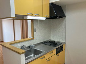 リッチンコートⅠ A204号-10