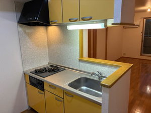 リッチンコートⅡ B201号-4