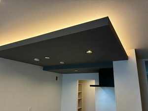 シャーメゾン　フルルプランテ 0101号-9