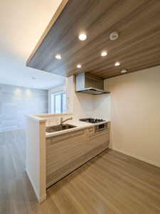 ＳｈａＭａｉｓｏｎ　Ｎｏｒｔｈ　Ｆｉｅｌｄ 0301号-3