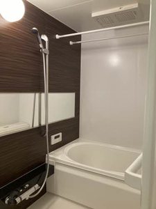 ベレオ　Ｌａ　Ｓｐｉａｇｇｉａ 0201号-12