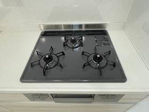 カーサ・ヴェルデ 0203号-8