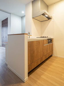 アイエフノヴァ水波町 0101号-3