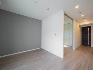 アイエフノヴァ水波町 0303号-2