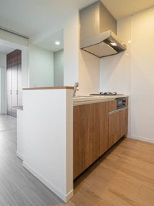 アイエフノヴァ水波町 0401号-4