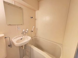 エス・アイウィング 0407号-5