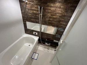 シャーメゾン　アンビエラ 0102号-10