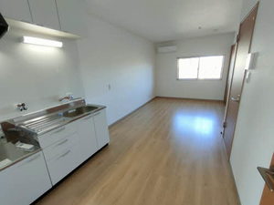 リュミエール・ベル 000F号-1