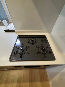 ヴィスターリ桂 0301号-9