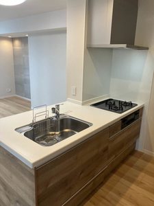 ヴィスターリ桂 0301号-11