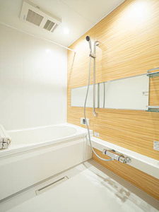 フレージア 0107号-5