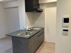 ロイヤルパークヒルズ上町 0501号-11