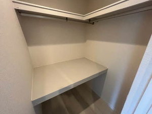 Ｌｕｃｉｏｌｅ 0203号-5