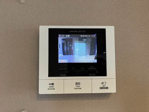シャーメゾン　光 0305号-11