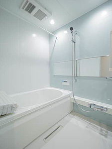 ＳｈａＭａｉｓｏｎ　Ａｏｉｒｏ 0101号-4