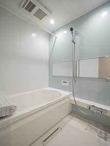 ＳｈａＭａｉｓｏｎ　Ａｏｉｒｏ 0301号-4