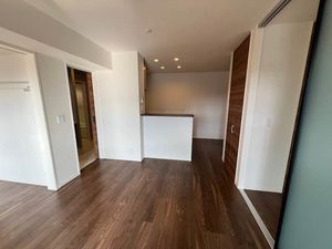 Ｆｅｒｒｉｓ　Ｇａｉａ　Ｍ 0205号-2