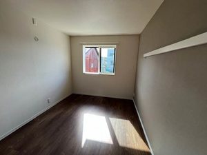 Ｆｅｒｒｉｓ　Ｇａｉａ　Ｍ 0205号-8