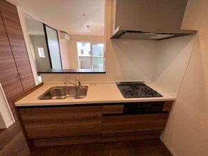 Ｆｅｒｒｉｓ　Ｇａｉａ　Ｍ 0205号-9