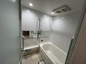 Ｆｅｒｒｉｓ　Ｇａｉａ　Ｍ 0205号-11