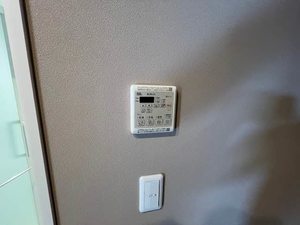 Ｆｅｒｒｉｓ　Ｇａｉａ　Ｍ 0205号-12