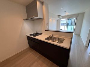 Ｆｅｒｒｉｓ　Ｇａｉａ　Ｍ 0301号-4