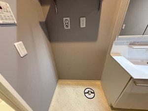 Ｆｅｒｒｉｓ　Ｇａｉａ　Ｍ 0301号-14