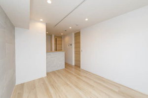 ＴＨＥ　ＣＬＡＳＳ　城東　ＲＥＳＩＤＥＮＣＥ 0303号-3